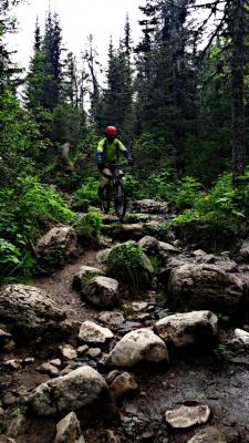 Прикрепленное изображение: dbbb330eb46caef84ea40e3738b39030-picsart_1404208650574.gallery.jpg